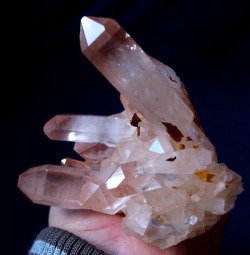 Elestial Angel Pink Lemurian Quartz Cluster