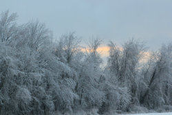 michiganphotographer:  Peaceful winter evening.