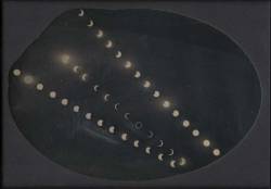 nervoservo:  Robert Shlaer - Solar Eclipse, Santa Teresa, New