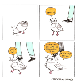 chuckdrawsthings:  veganthranduil:   chuckdrawsthings: do pigeons