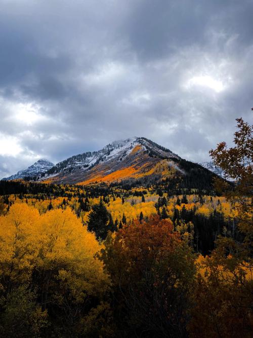 earthporn:[OC] Scenic Views in Alpine, UT! [2900 x 3866] by: