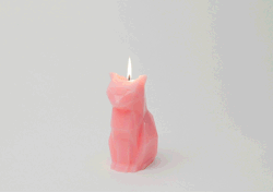 unicorn-meat-is-too-mainstream:  PyroPet Candles Melt into Creepy