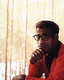 ohthentic:  deforest:  Sammy Davis, Jr. by Gene Howard, c. 1956