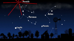 amnhnyc:  Attention stargazers! The Perseid meteor shower returns