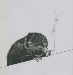 clokyland:  inu1941-1966:  illustration: Katsuhiro otomo 1981