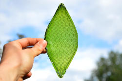8bitfuture:  Man-made leaf turns CO2 into oxygen. Julian Melchiorri’s