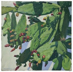 thunderstruck9:Jane Peterson (American, 1876-1965), Cactus flowers.