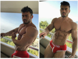 Adonis Files