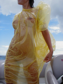 kagurazakaundergroundresistance:  gkojax:  Poncho  (via kotelover)