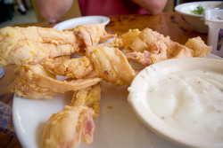 chicken fried bacon with a side of cream gravy, by yi