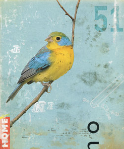 Bird No.5 by: kareem rizk, 2008