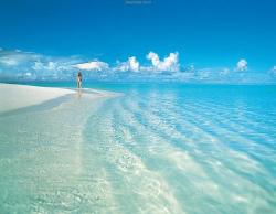wrigley:   anepan:  iro:  anepan:  withwanderlust: Pixdaus: God