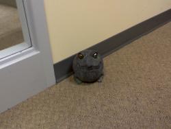 This thing is creeeeeepy!