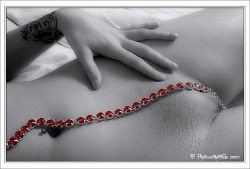 via Ruby, Ruby, Ruby, Ruby by =photoswithattitude on deviantART