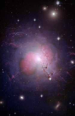 thedemon-hauntedworld:  NGC 1275 multi-wavelength composite The