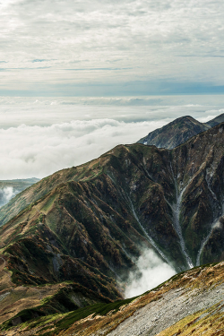 nordvarg:  Above the Fog \ Dan Ogawa       