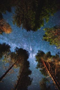 travel-photos-hza:  Shooting star in Edsbyn, Sweden  <3