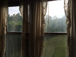 wiitch-craft:  babydollsandchainsaws:  My bedroom windows after