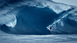 surferboianddollbaby: Mark Matthews. Lost cause.via o'neill 
