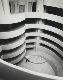 robyn-mizrach:  The Guggenheim, Almost Empty - 1959 - Ezra Stoller.