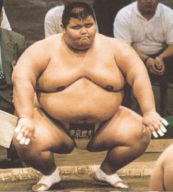 hamasumo:  What a sumo wrestler !! this guy must be very strong