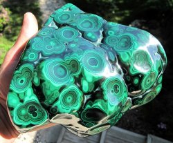 opticallyaroused:  Malachite