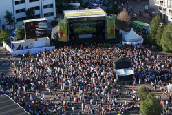   Australians The Black Sorrows, Smith & Thell and Maja Francis