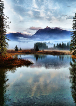 bluepueblo:  Cabinet Mountains, Montana photo via charlotte