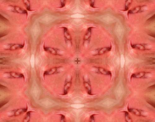kaleidoscopepussy:  wow, such a juicy pussy!   