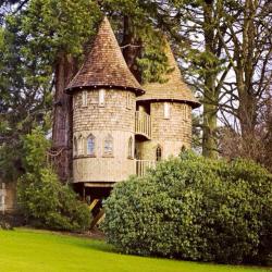 voiceofnature:  Castle treehouse by Blue Forest