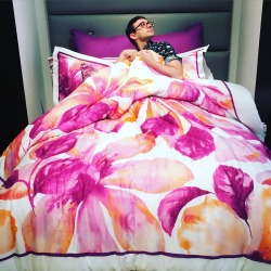 csiriano:  My new favorite bedding set is now available at Bed