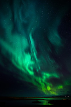 opticcultvre:    Northern Lights by greenzowie 