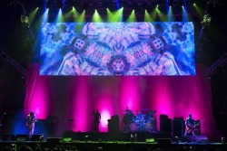 TOOL Live