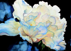 andantegrazioso:Peony and Iris by Hanne Lore Koehler