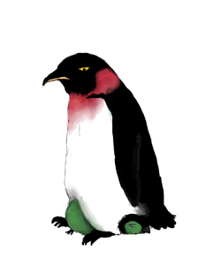 piscosos:  The quest of penguin Zoro continues.  OH MY GOD. *DIES