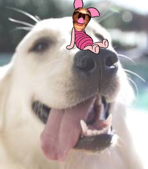 attemptedmurderess:  i just destroyed my childhood bc of merk’s instagram  @markiplier 