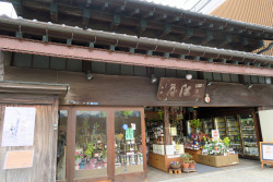 ninetail-fox:  a wine shop ,Kamakura