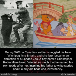 mindblowingfactz:  During WWI, a Canadian soldier smuggled his