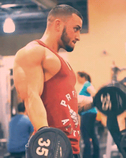   royfit305  