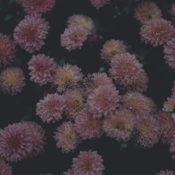 nataliemirina:  It is just very rainy autumn