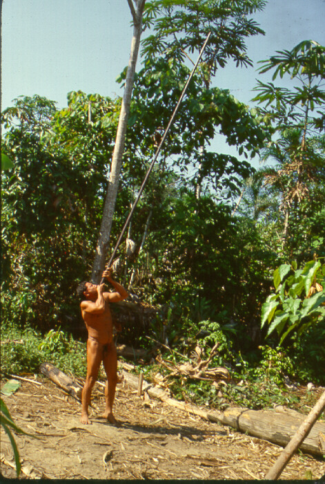   Brazilian Suruwaha, via Active Naturists.  