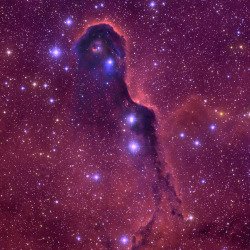 themagicofreality:  This image of the Elephant Trunk Nebula was