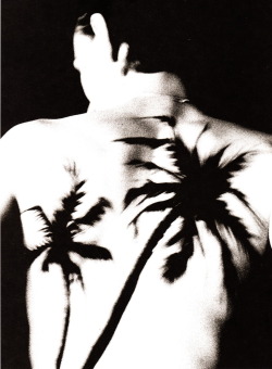 rafsimonsblog:  Raf Simons Spring/Summer 1998, “Black Palms”