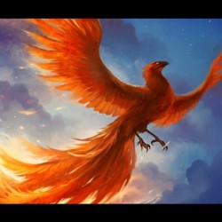 missjuengling:  “Phoenix Probably the best known mythical creature