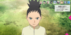 cacatuasulphureacitrinocristata:  Nara ShikadaiShikamaru and