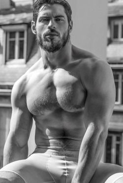 musclecorps:  