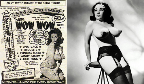   Miss WOW WOW         “Proportionately Unbelievable   See It… To Believe It!”   Promo photo with newspaper ad for an appearance at Rose La Rose’s ‘ESQUIRE Theatre’; located in Toledo, Ohio..  