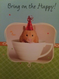 First birthday card and its from my Mom since I’m a hamster