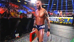 theshowstealer:  WWE Summerslam (19/08/2013): Randy Orton cashes