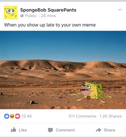 stealth-boy:  holy shit this is the official spongebob facebook